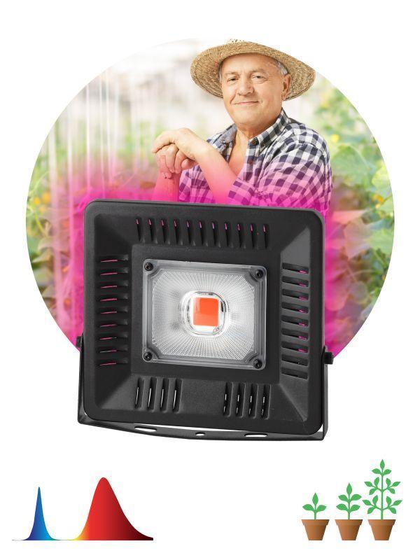 Прожектор светодиодный для растений FITO-50W-LED BLUERED 50Вт IP65 220-240В -30град. до + 45град. 30000ч для цветения и плодоношения красно-синего спектра ЭРА Б0039033