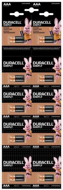 Элемент питания алкалиновый AAA/LR03 LR03-2BL Basic 2х10 5011646 (блист.20шт) Duracell Б0051816