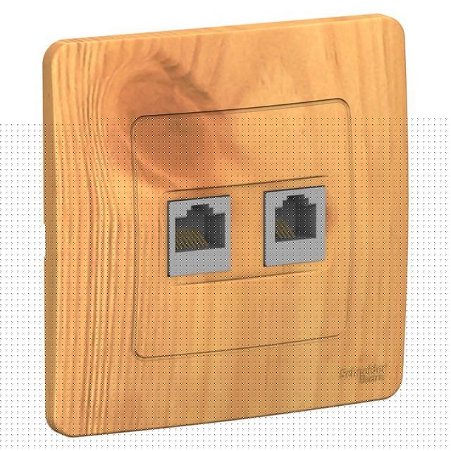 Розетка компьютерная + телефонная 2-м СП Blanca RJ45 кат.5E + RJ11 ясень SE BLNIS045115