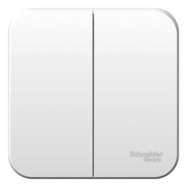 Выключатель 2-кл. ОП Blanca 10А IP20 (сх. 5) 250В с металлич. пластиной бел. SE BLNVA105021