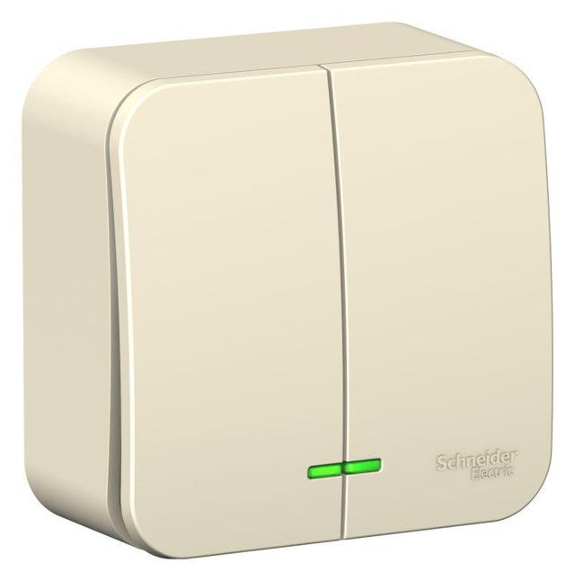 Выключатель 2-кл. ОП Blanca 10А IP20 (сх. 5) 250В с подсветкой с изолир. пластиной молочн. SE BLNVA105112